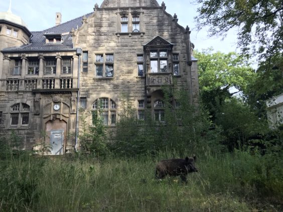 Tagesspiegel Leute Newsletter Charlottenburg Wilmersdorf 13 7 2018